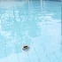 Kép 5/7 - TFA Dostmann Digitales Solar-Poolthermometer Medence hőmérő Fehér, Türkiz